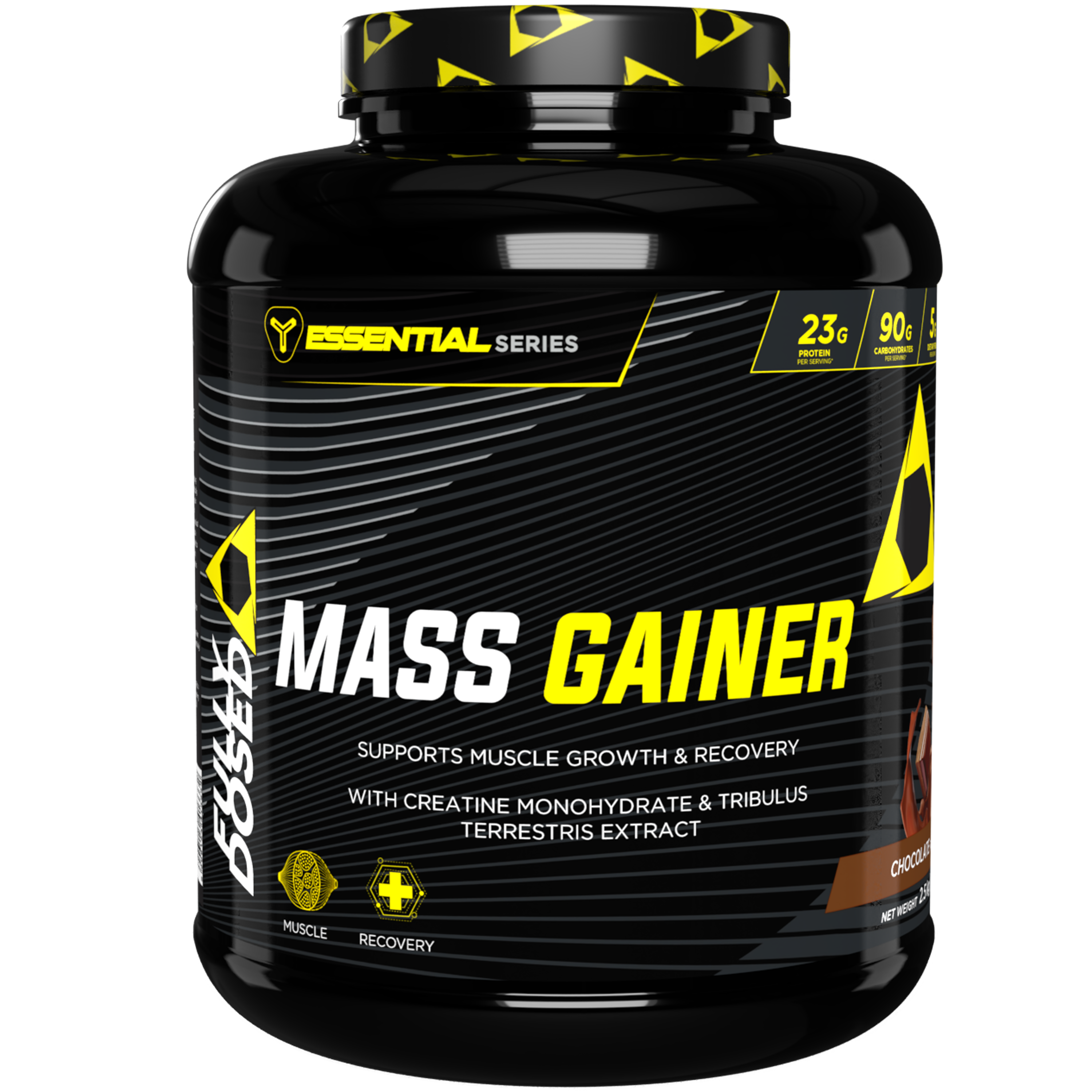 FD MASS GAINER 2.5 KGS