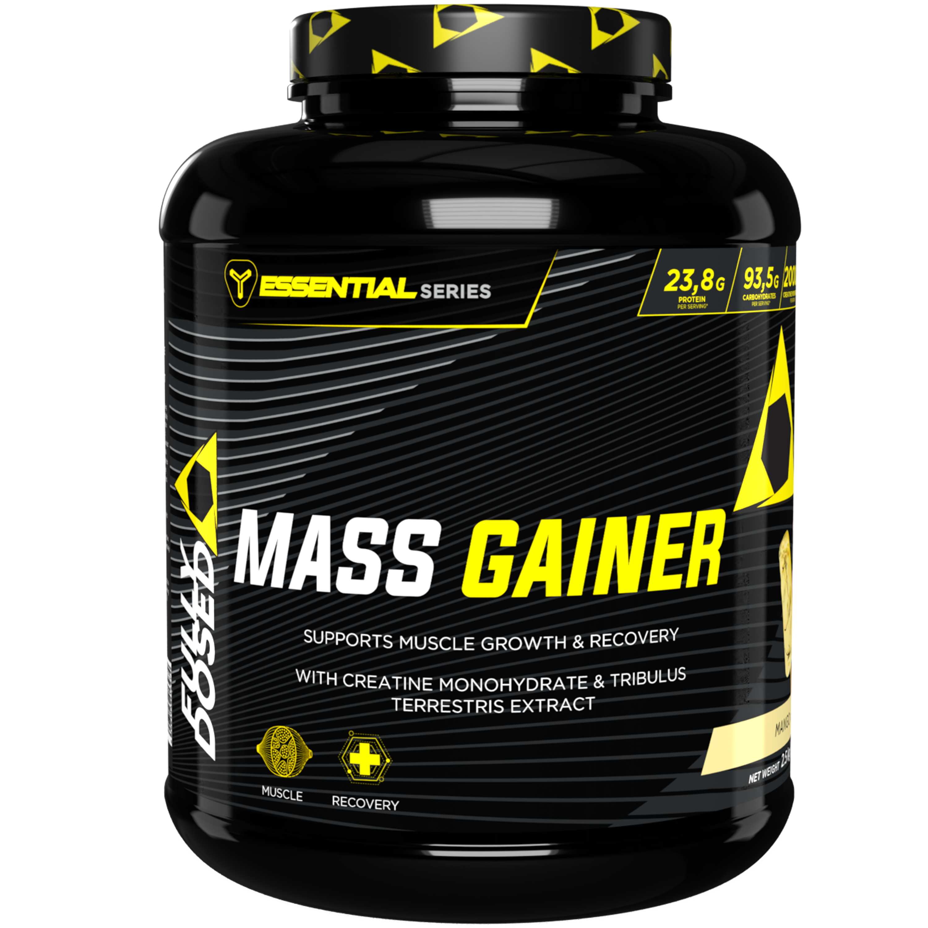 FD MASS GAINER 2.5 KGS