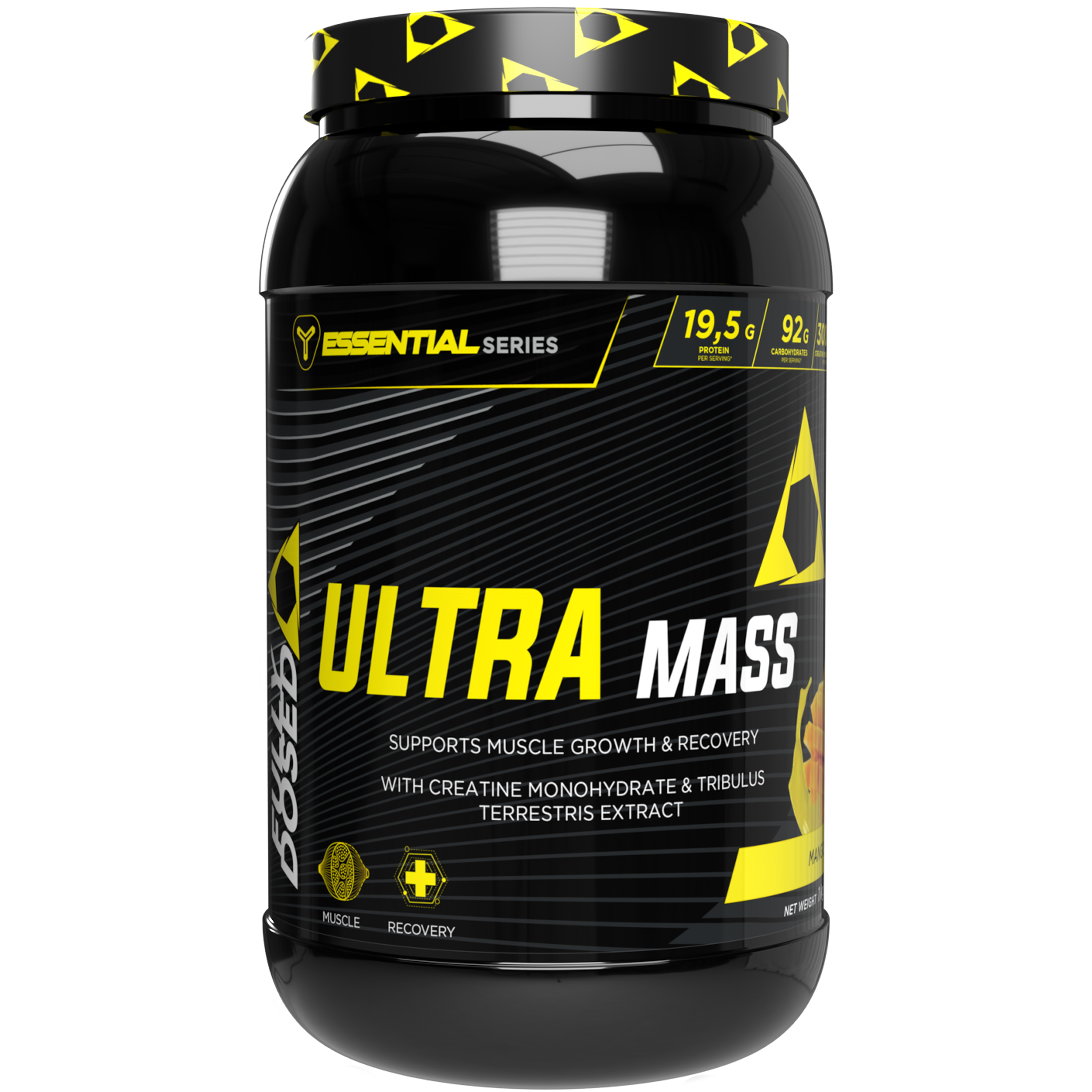 FD ULTRA MASS 1 KGS